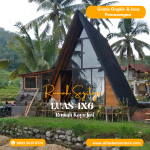 Rumah Segitiga Minimalis Modern Kayu Jati