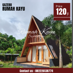 Rumah Segitiga Minimalis Modern Kayu Jati