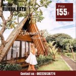 Rumah Segitiga Glamping Kayu Jati jepara